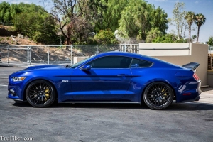 TruFiber 2015 Ford Mustang