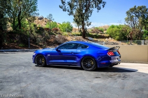 TruFiber 2015 Ford Mustang