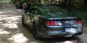 Mustang at stage start