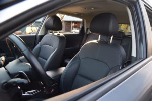 2019 Kia Niro EV